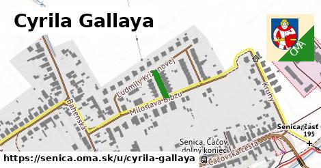 ilustrácia k Cyrila Gallaya, Senica - 70 m