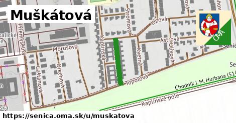 Muškátová, Senica