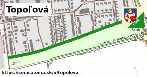 ilustrácia k Topoľová, Senica - 695 m