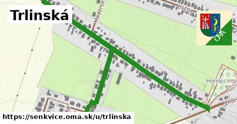 ilustrácia k Trlinská, Šenkvice - 0,88 km