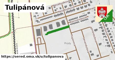 Tulipánová, Sereď