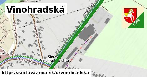 ilustrácia k Vinohradská, Šintava - 570 m