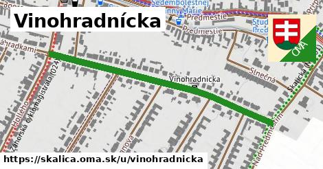 Vinohradnícka, Skalica