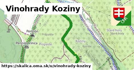 ilustrácia k Vinohrady Koziny, Skalica - 1,03 km