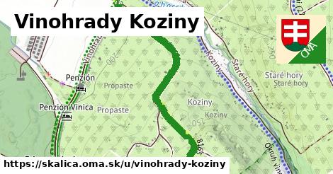 Vinohrady Koziny, Skalica