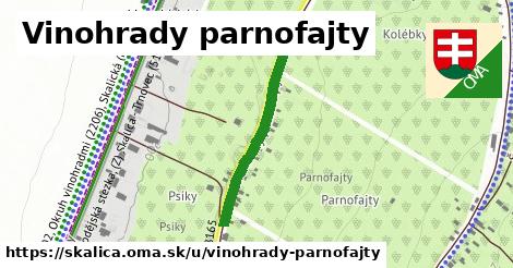 ilustrácia k Vinohrady parnofajty, Skalica - 283 m