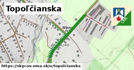 ilustrácia k Topoľčianska, Skýcov - 309 m