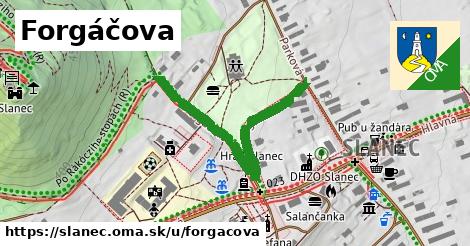 Forgáčova, Slanec