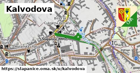 Kalvodova, Šlapanice