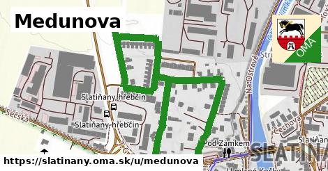 ilustrácia k Medunova, Slatiňany - 0,97 km