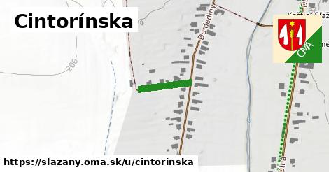 Cintorínska, Sľažany