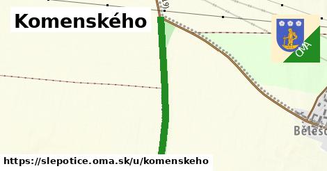 Komenského, Slepotice