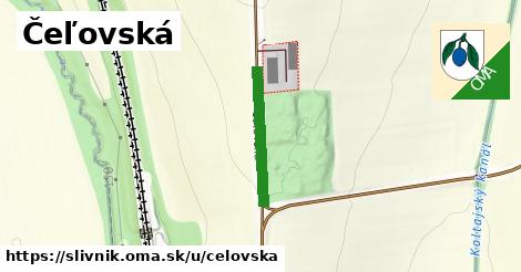 Čeľovská, Slivník