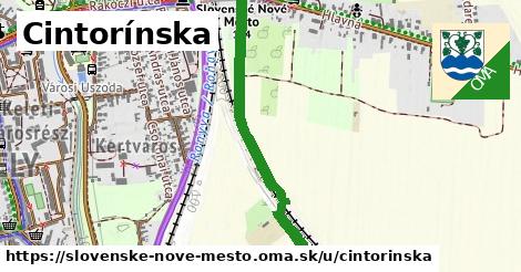 ilustrácia k Cintorínska, Slovenské Nové Mesto - 0,83 km