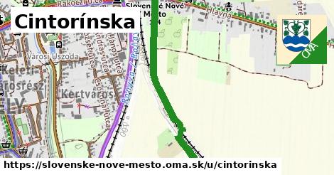 Cintorínska, Slovenské Nové Mesto