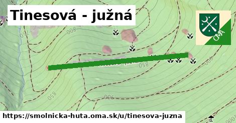 ilustrácia k Tinesová - južná, Smolnícka Huta - 442 m