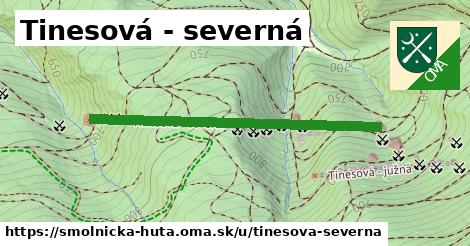 ilustrácia k Tinesová - severná, Smolnícka Huta - 0,92 km