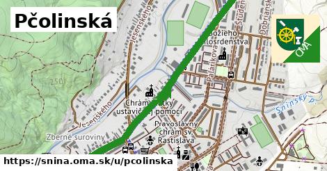 ilustrácia k Pčolinská, Snina - 1,21 km