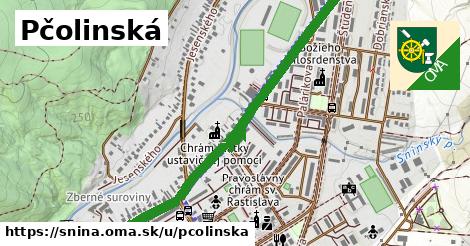 ilustrácia k Pčolinská, Snina - 1,21 km