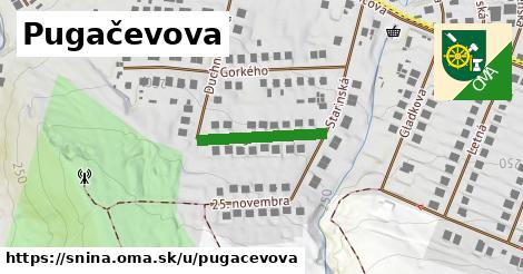 Pugačevova, Snina