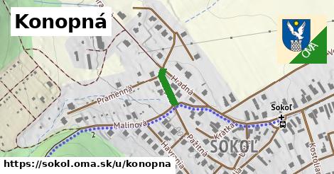 Konopná, Sokoľ