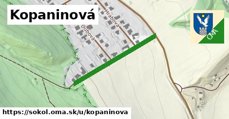 Kopaninová, Sokoľ