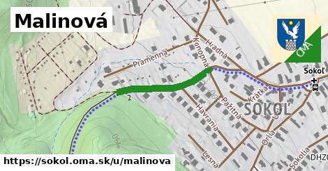 Malinová, Sokoľ