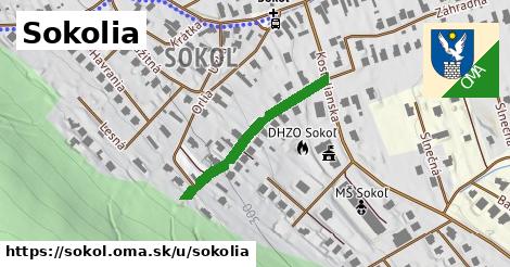 Sokolia, Sokoľ