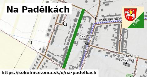 ilustrácia k Na Padělkách, Sokolnice - 309 m