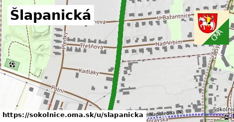 ilustrácia k Šlapanická, Sokolnice - 411 m