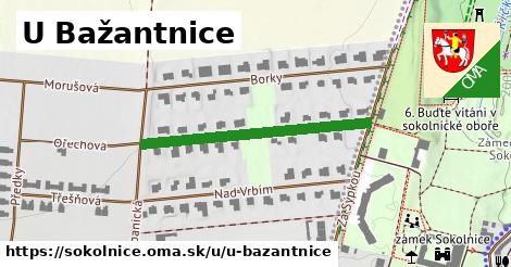 U Bažantnice, Sokolnice