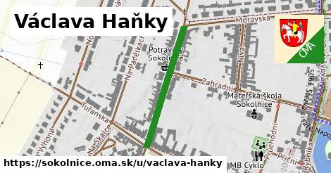 Václava Haňky, Sokolnice
