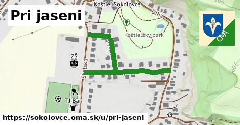 ilustrácia k Pri jaseni, Sokolovce - 450 m