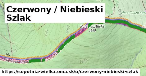 ilustrácia k Czerwony / Niebieski Szlak, Sopotnia Wielka - 1,33 km