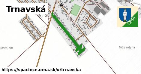 ilustrácia k Trnavská, Špačince - 677 m