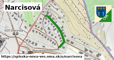 Narcisová, Spišská Nová Ves