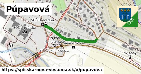 Púpavová, Spišská Nová Ves