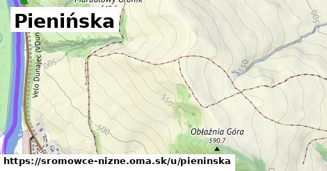 ilustrácia k Pienińska, Sromowce Niżne - 354 m