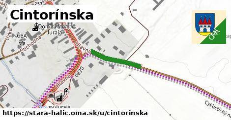 ilustrácia k Cintorínska, Stará Halič - 168 m