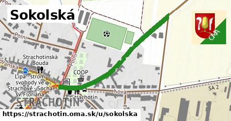 Sokolská, Strachotín