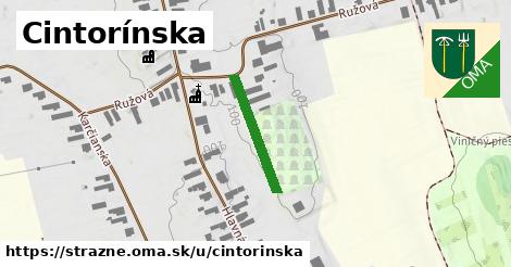 ilustrácia k Cintorínska, Strážne - 183 m