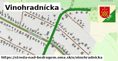 ilustrácia k Vinohradnícka, Streda nad Bodrogom - 599 m