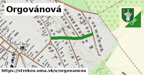 Orgovánová, Strekov