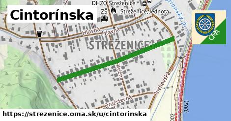 Cintorínska, Streženice