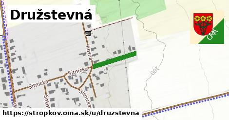 Družstevná, Stropkov