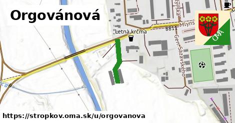 Orgovánová, Stropkov