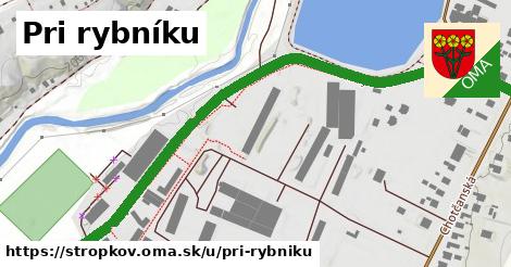 ilustrácia k Pri rybníku, Stropkov - 0,89 km
