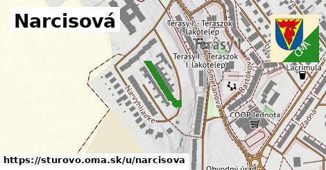 Narcisová, Štúrovo