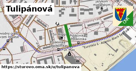 Tulipánová, Štúrovo