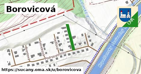 Borovicová, Sučany